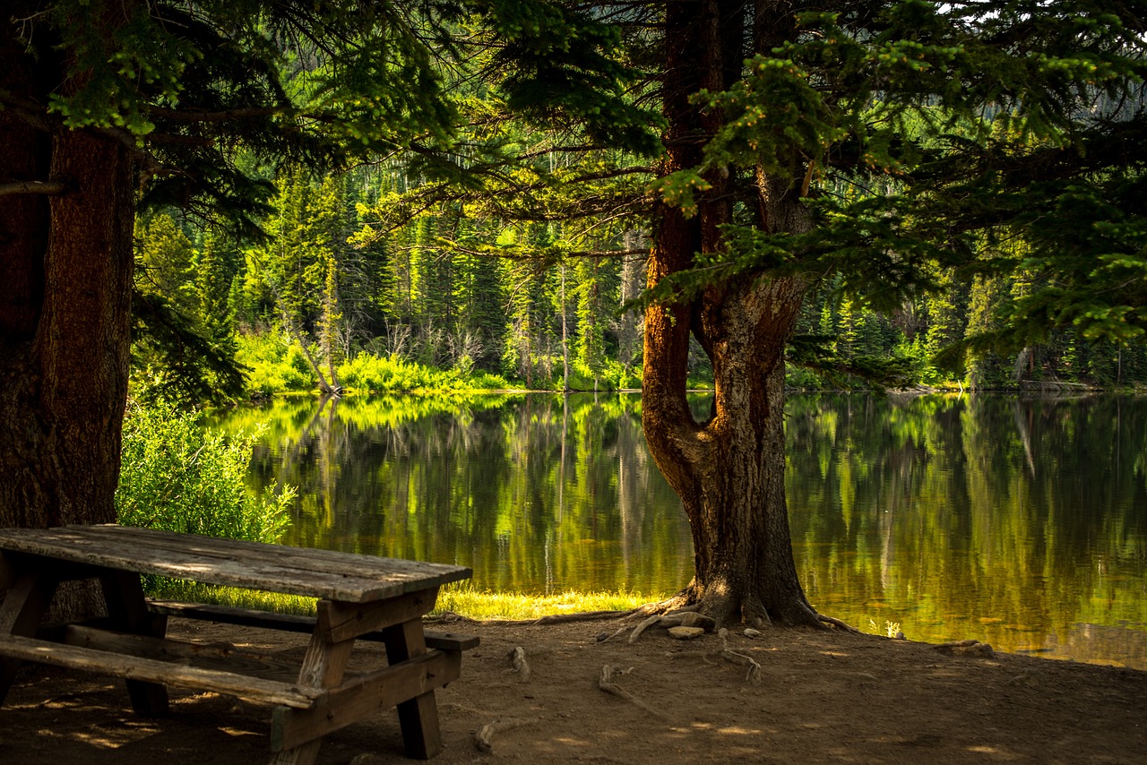 Pause beim Waldbaden