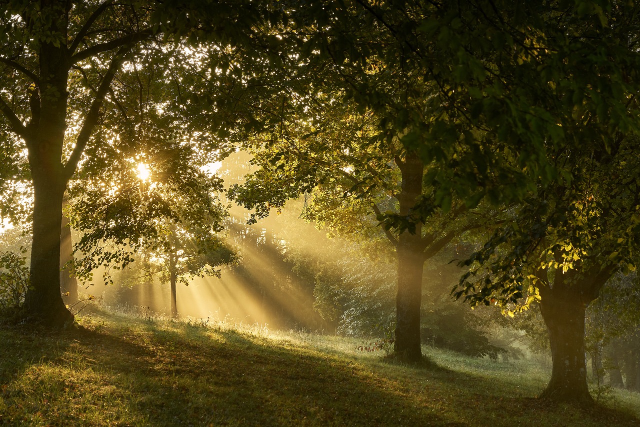 Waldbaden im Herbst