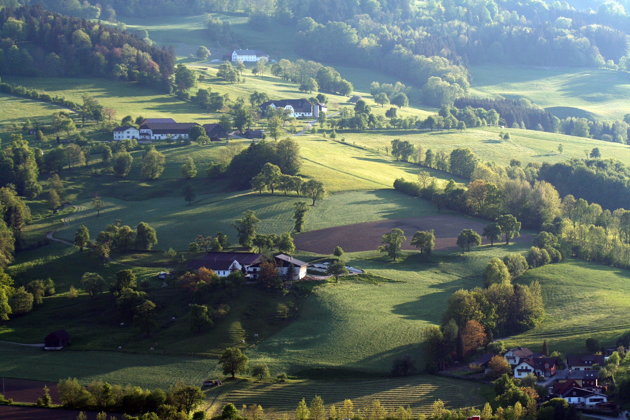 Hügellandschaft nordwestlich von Scheibbs (Brandstatt)