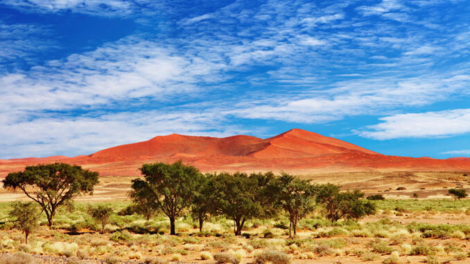 Wüste in Namibia